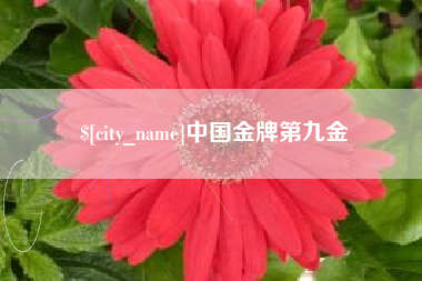 温县中国金牌第九金