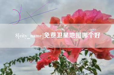 温县免费卫星地图哪个好