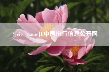 温县1.中国执行信息公开网