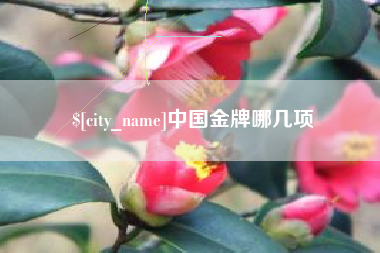 温县中国金牌哪几项