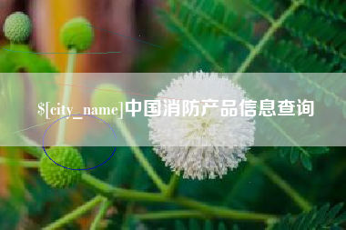 温县中国消防产品信息查询