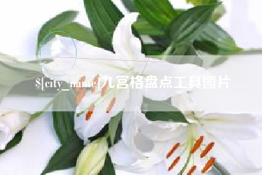 温县九宫格盘点工具图片