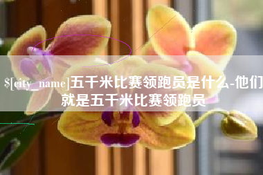 温县五千米比赛领跑员是什么-他们就是五千米比赛领跑员