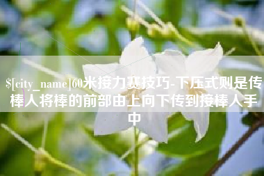 温县60米接力赛技巧-下压式则是传棒人将棒的前部由上向下传到接棒人手中