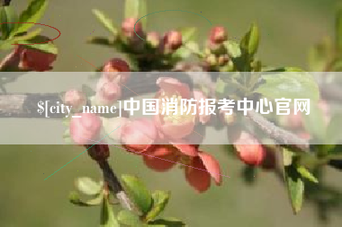 温县中国消防报考中心官网