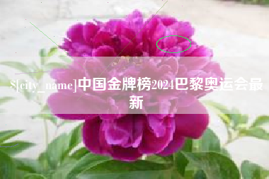 温县中国金牌榜2024巴黎奥运会最新