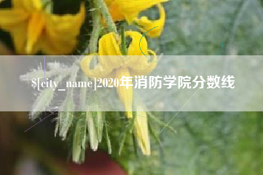 温县2020年消防学院分数线
