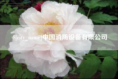 温县中国消防设备有限公司