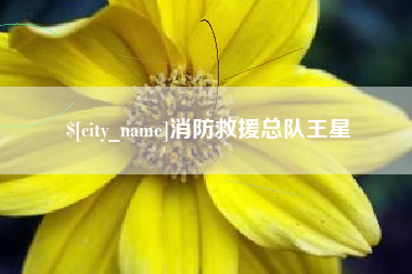 温县消防救援总队王星