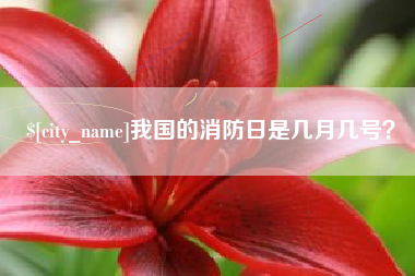 温县我国的消防日是几月几号？