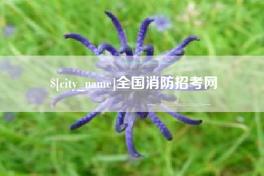 温县全国消防招考网
