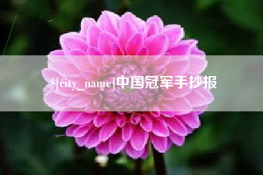 温县中国冠军手抄报