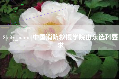 温县中国消防救援学院山东选科要求