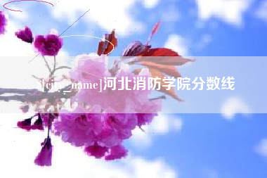 温县河北消防学院分数线