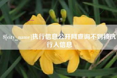 温县执行信息公开网查询不到被执行人信息