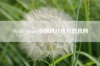 温县中国执行执行信息网