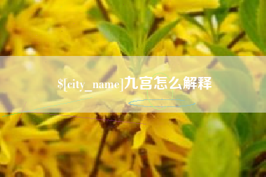 温县九宫怎么解释