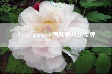 温县中国队第八块金牌