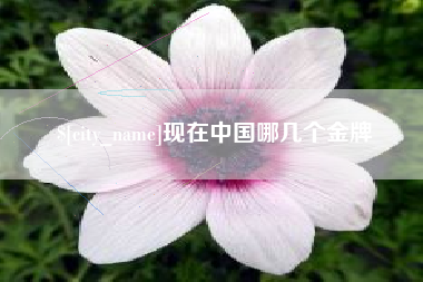 温县现在中国哪几个金牌