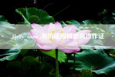 温县消防证国网查询操作证