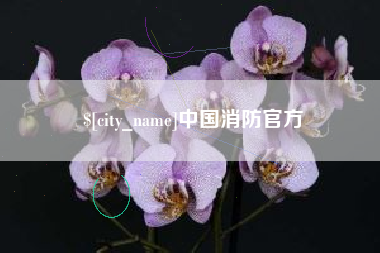 温县中国消防官方