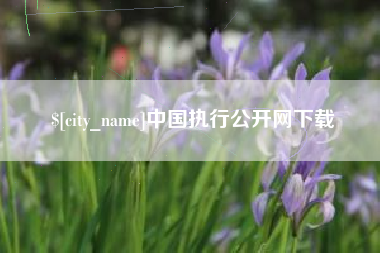 温县中国执行公开网下载