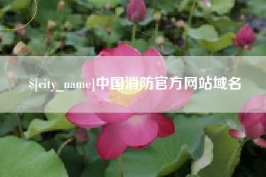 温县中国消防官方网站域名