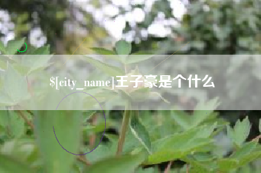 温县王子豪是个什么