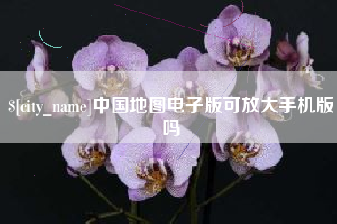 温县中国地图电子版可放大手机版吗
