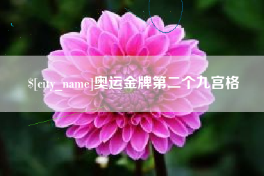 温县奥运金牌第二个九宫格