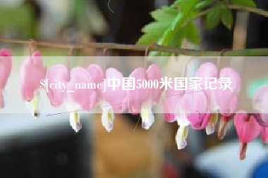 温县中国5000米国家记录