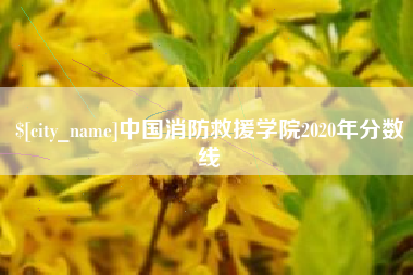 温县中国消防救援学院2020年分数线