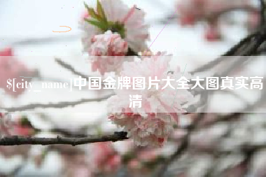 温县中国金牌图片大全大图真实高清