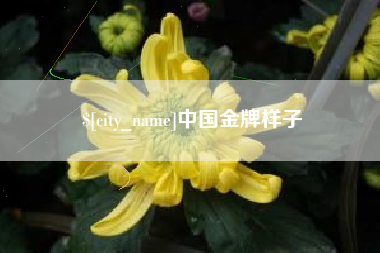 温县中国金牌样子