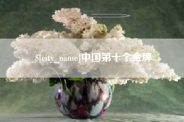温县中国第十个金牌