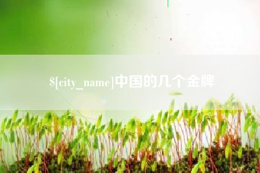 温县中国的几个金牌