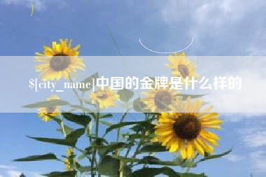 温县中国的金牌是什么样的