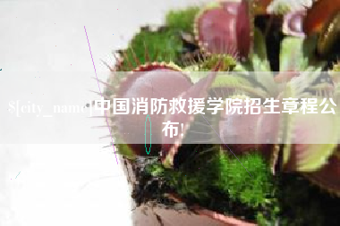 温县中国消防救援学院招生章程公布!