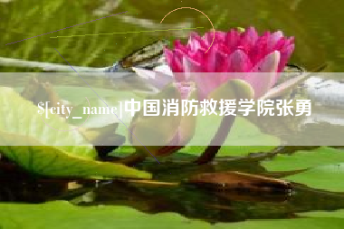 温县中国消防救援学院张勇