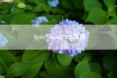温县2022九宫