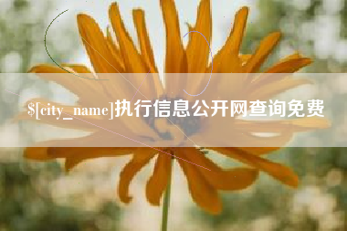 温县执行信息公开网查询免费