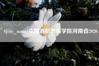 温县中国消防救援学院河南省2020